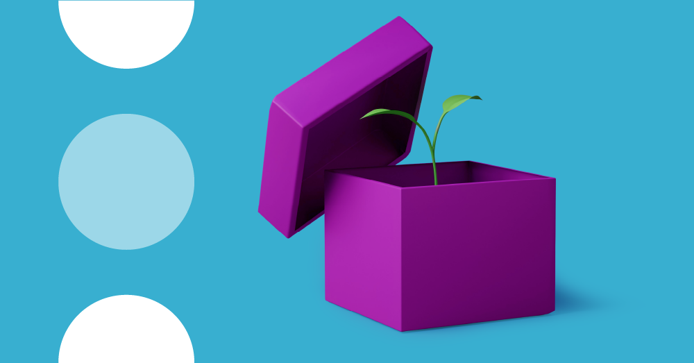 Blue banner with purple box